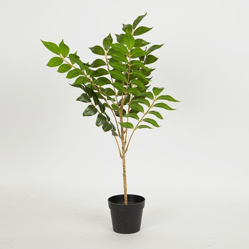 TREE 105cm, IN A POT, PLASTIC, BLACK,42x32x56cm 758-14034