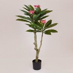 PLUMERIA TREE, PINK FLOWERS, IN A POT, PLASTIC, BLACK, 116cm 758-14041