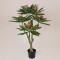 PLUMERIA TREE, PINK FLOWERS, IN A 23CM POT, PLASTIC, BROWN, 152cm 758-14042