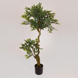 SUKI FICUS TREE, GREEN LEAVES, IN A POT, PLASTIC, BLACK, 135cm 758-14046 SUKI FICUS TREE, GREEN LEAVES, IN A POT, PLASTIC, BLACK, 135cm 758-14046