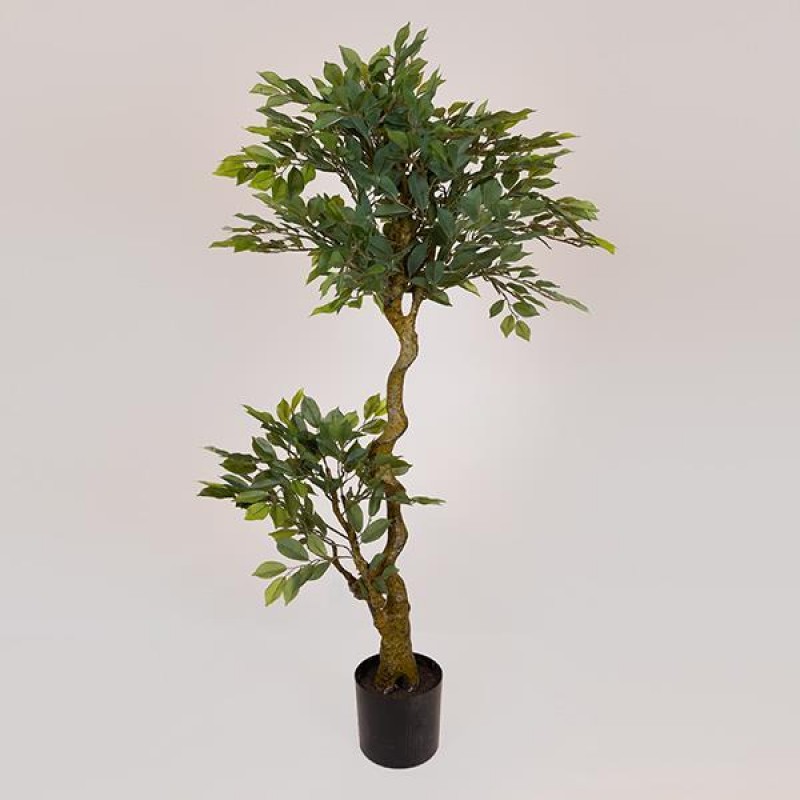 SUKI FICUS TREE, GREEN LEAVES, IN A POT,  PLASTIC, BLACK, 135cm 758-14046