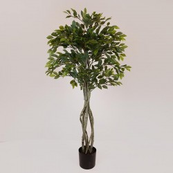 SUKI FICUS TREE, GREEN LEAVES, IN A POT, PLASTIC, BLACK, 167cm 758-14047 SUKI FICUS TREE, GREEN LEAVES, IN A POT, PLASTIC, BLACK, 167cm 758-14047