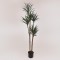 YUCA PLANT, IN A POT,  PLASTIC, BLACK, 150cm 758-14049