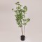 PIERIS TREE,  IN A POT, PLASTIC, BLACK, 130cm 758-14050