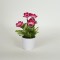 POPPY FLOWER IN A POT, PINK, 18cm 758-14056