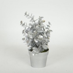PLANT  IN  A  POT, EUCALYPTUS, GOLD, 20cm 758-14061