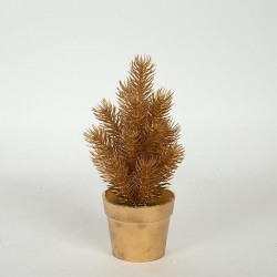 PLANT  IN  A  POT, ROSEMARY, GOLD, 20cm 758-14063