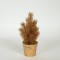PLANT  IN  A  POT, ROSEMARY, GOLD, 20cm 758-14063