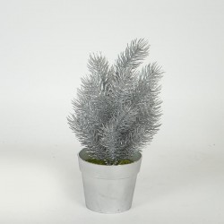PLANT  IN  A  POT, ROSEMARY, SILVER, 20cm 758-14064