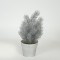 PLANT  IN  A  POT, ROSEMARY, SILVER, 20cm 758-14064