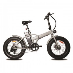 ELECTRIC BIKE FOLDABLE 250W 10Ah GREY 960-11010