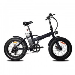 ELECTRIC BIKE FOLDABLE 250W 10Ah BLACK 960-11011