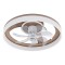 DECORATIVE CEILING FAN WITH LIGHT WOOD AND TRANSPARENT COLOR Φ50 DC 20W 300-25079
