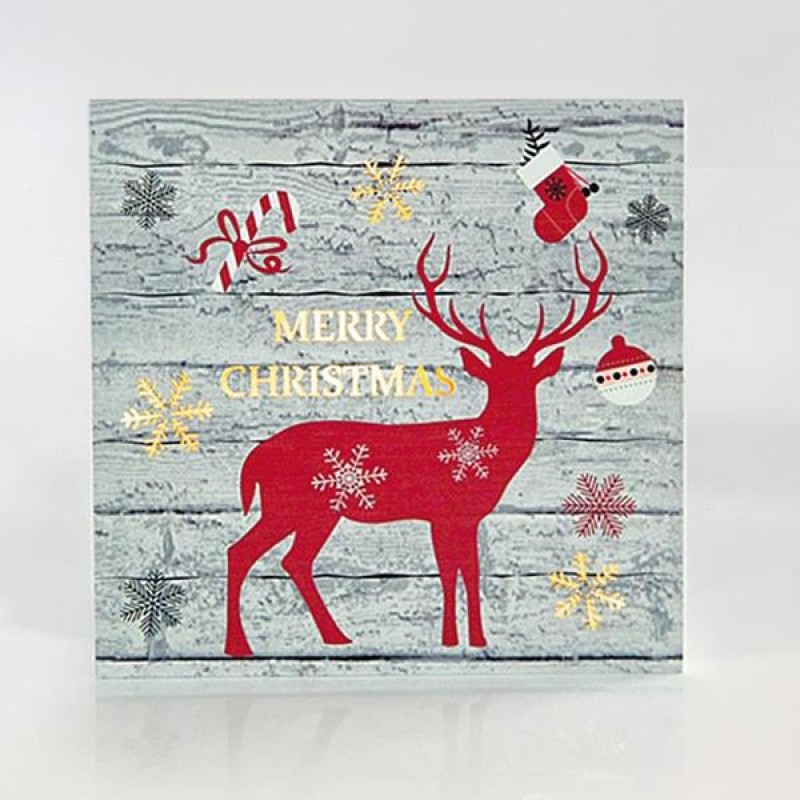 CANVAS PICTURE WITH DEER DESIGN, 25X25X3cm, WITH 15 LED, BATTERY OPERATED 600-41503