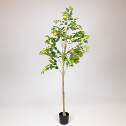 ARTIFICIAL LEMON TREE, WITH PLASTIC POT, FABRIC-PLASTIC-IRON, 150cm 816-50054 ARTIFICIAL LEMON TREE, WITH PLASTIC POT, FABRIC-PLASTIC-IRON, 150cm 816-50054