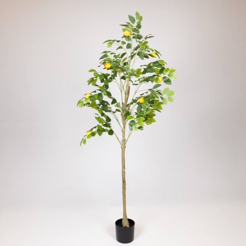 ARTIFICIAL LEMON TREE, WITH PLASTIC POT, FABRIC-PLASTIC-IRON, 150cm 816-50054