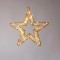 LIGHTED STAR 23cm, 80 MINI LED, 4,5V ADAPTOR, BRONZE METAL FRAME, BRONZE COPPER WIRE, 70 WARM WHITE & 10 WARM WHITE FLASH MINI LED, LEAD WIRE 5m, IP44 600-22552